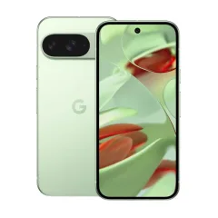 Google Pixel 9, Зеленый 1