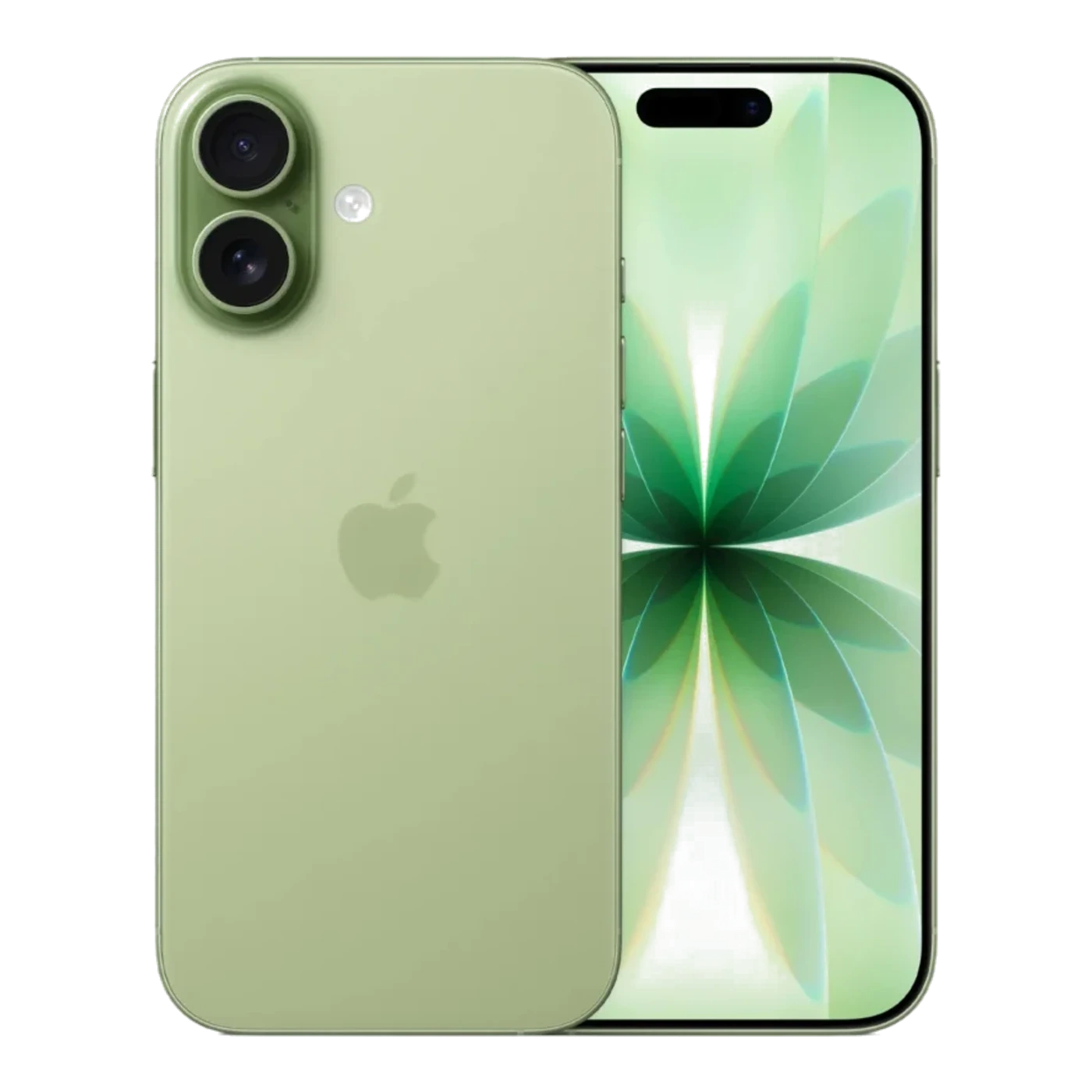 iPhone 17, Sage