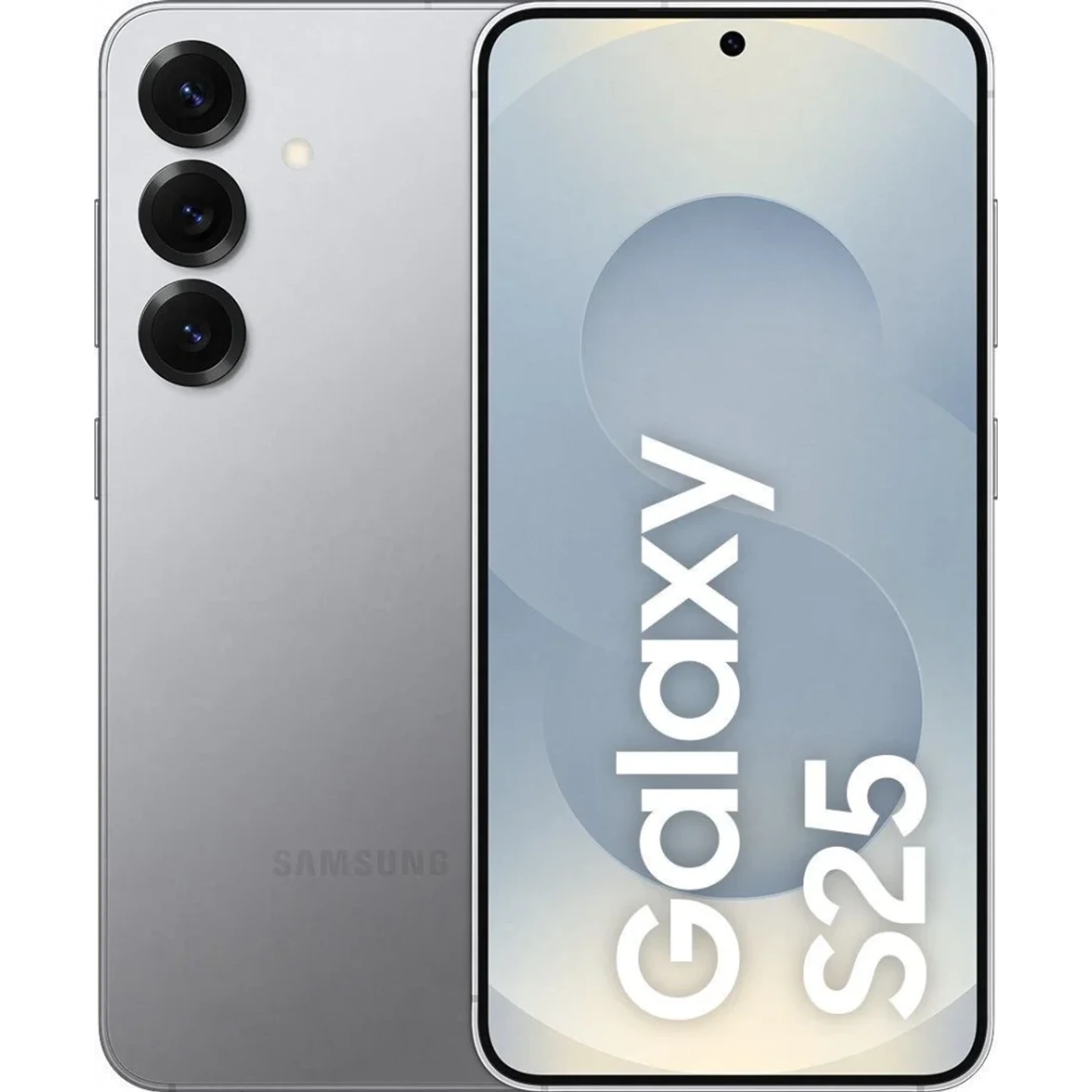 Samsung Galaxy S25, Серый 1