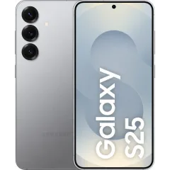 Samsung Galaxy S25, Серый 1