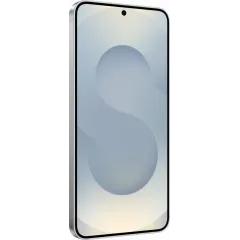 Samsung Galaxy S25, Серый 5