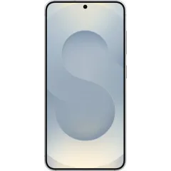 Samsung Galaxy S25, Серый 3
