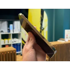 iPhone 13 Pro Max 256Gb | Gold 3
